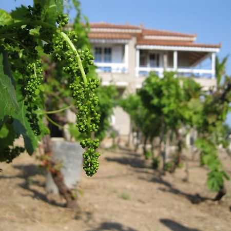 Alex - Nancy Apartments - Zaga Beach Koroni  Ngoại thất bức ảnh
